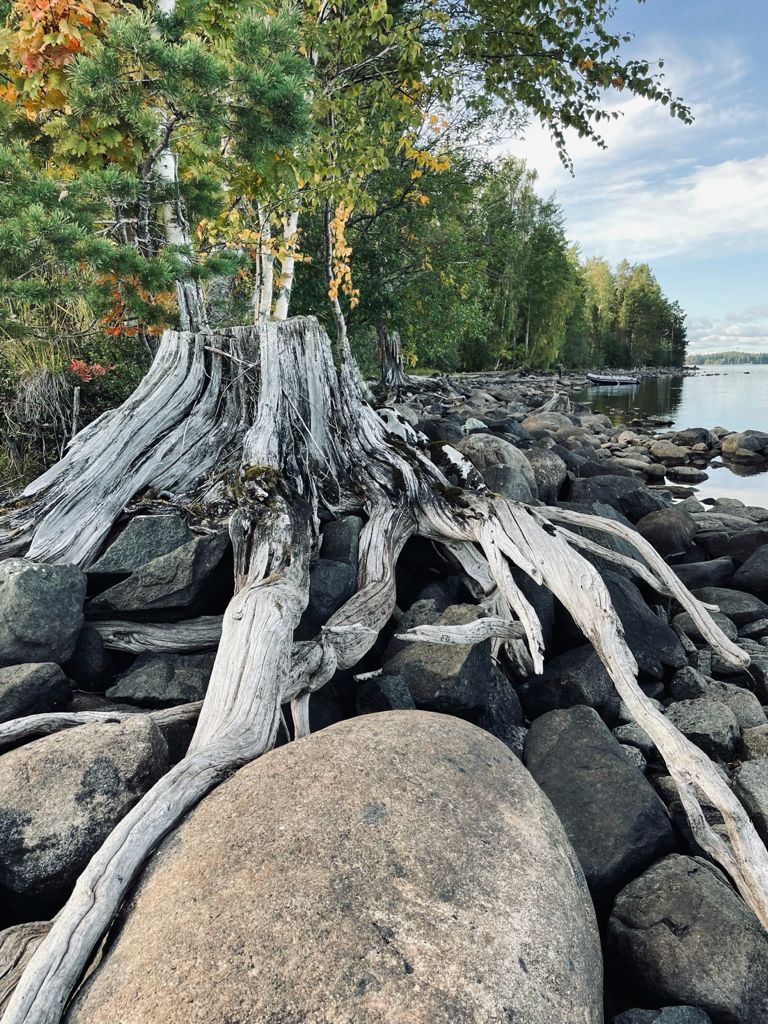 Фото Сандал