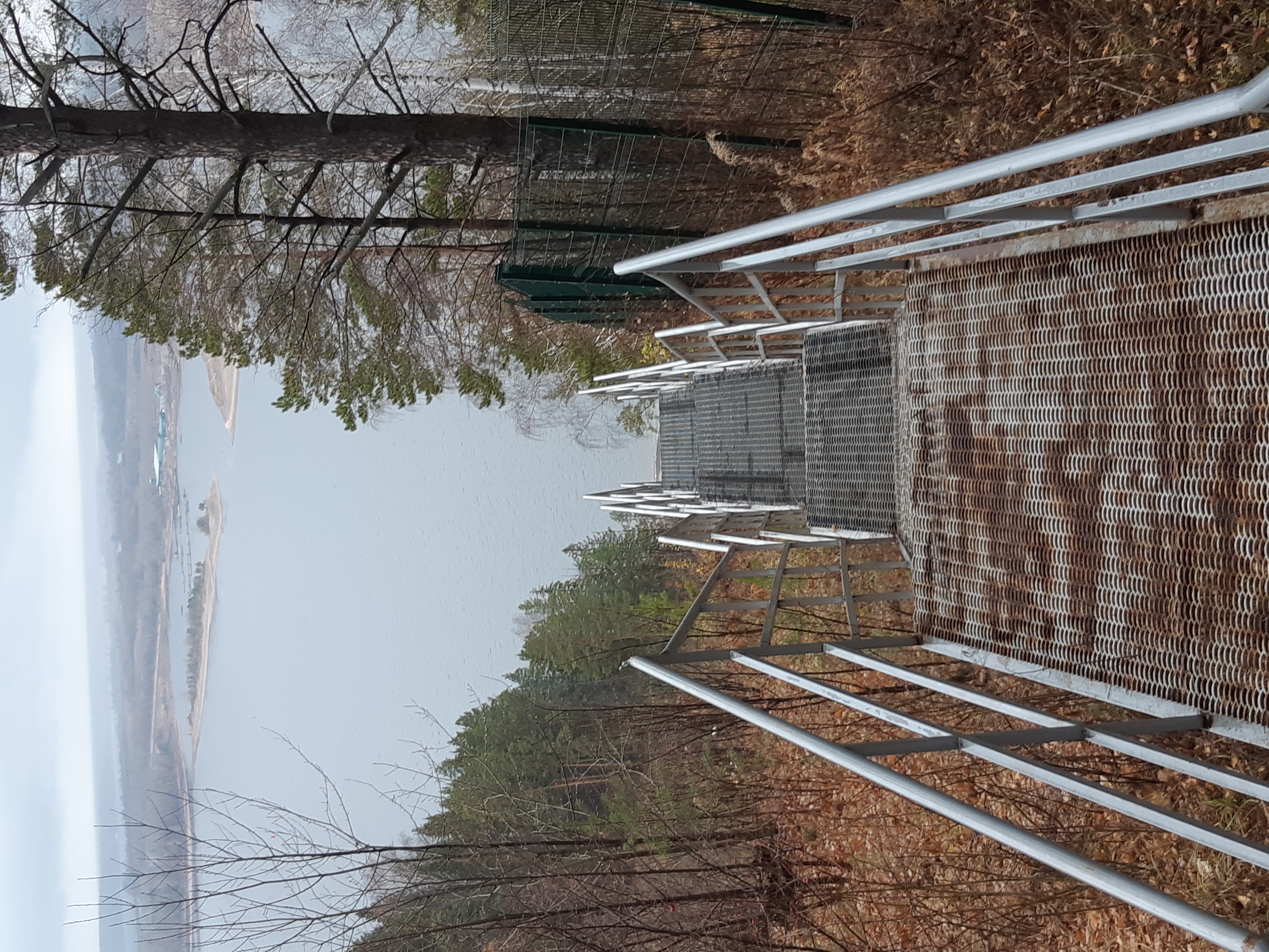 Фото Новая Волна