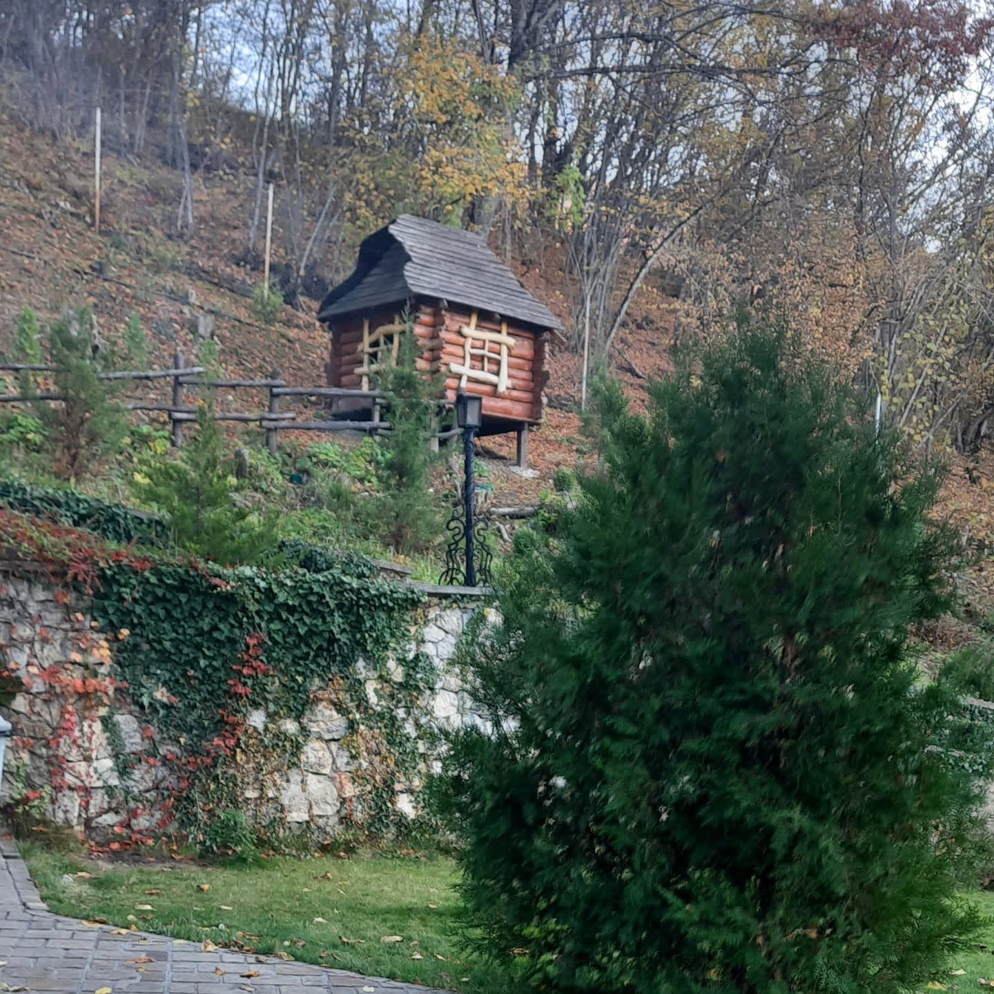 Фото Бергхоф