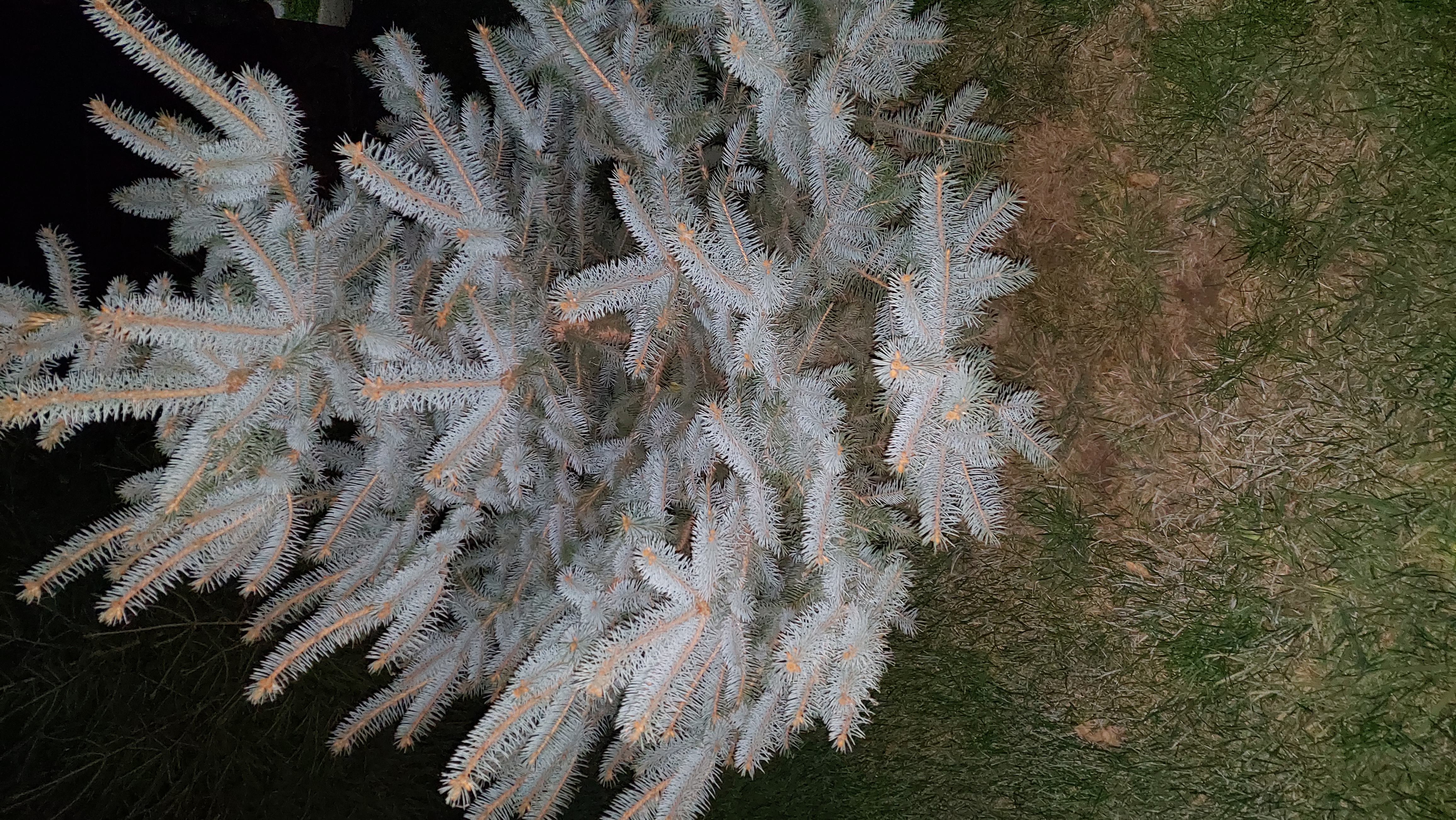 Фото Усадьба МаЛина