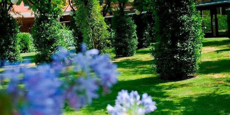 Фото Hotel Alimara