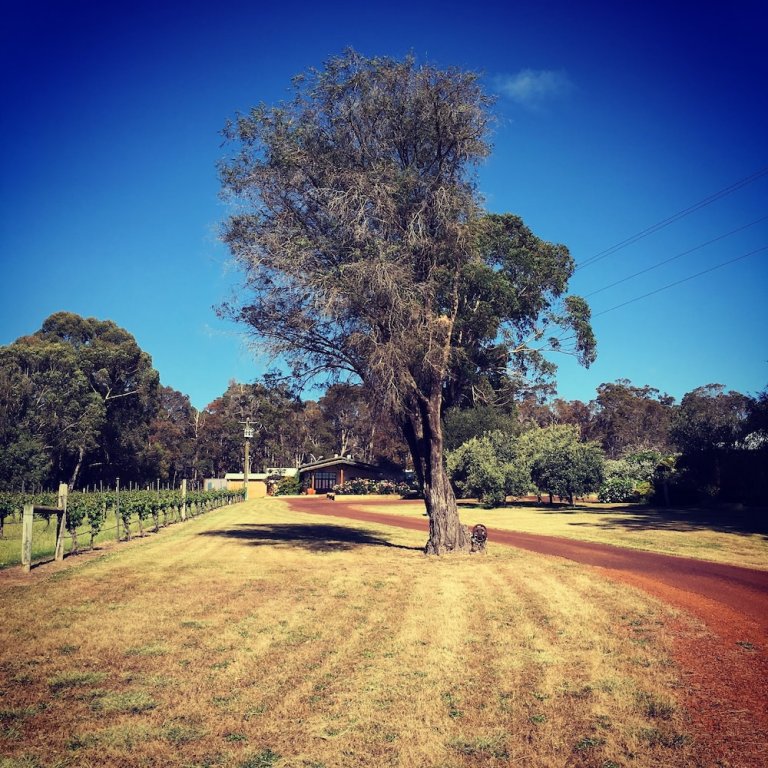 Фото Island Brook Estate Vineyard and Chalets