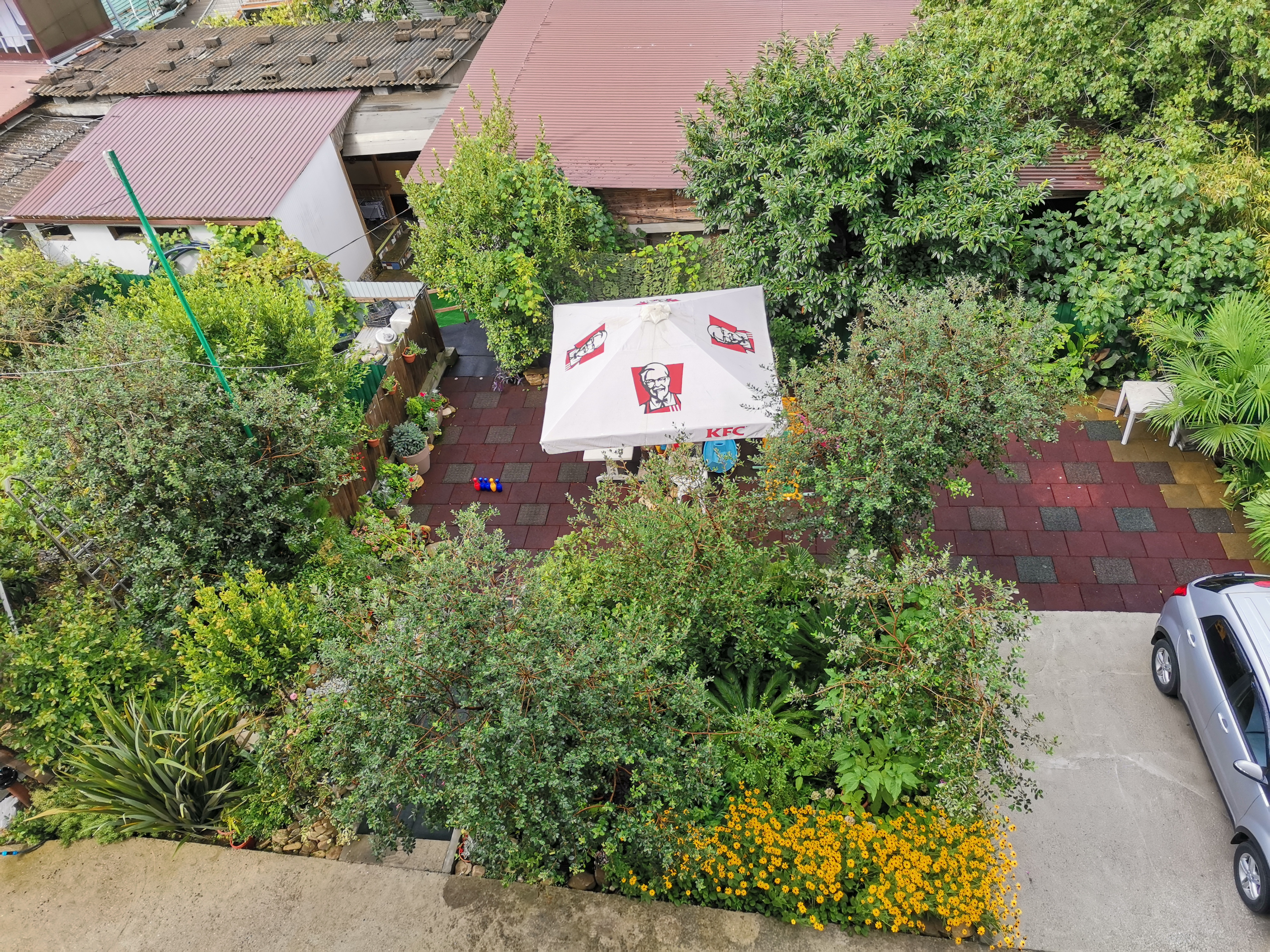 Фото Бризас