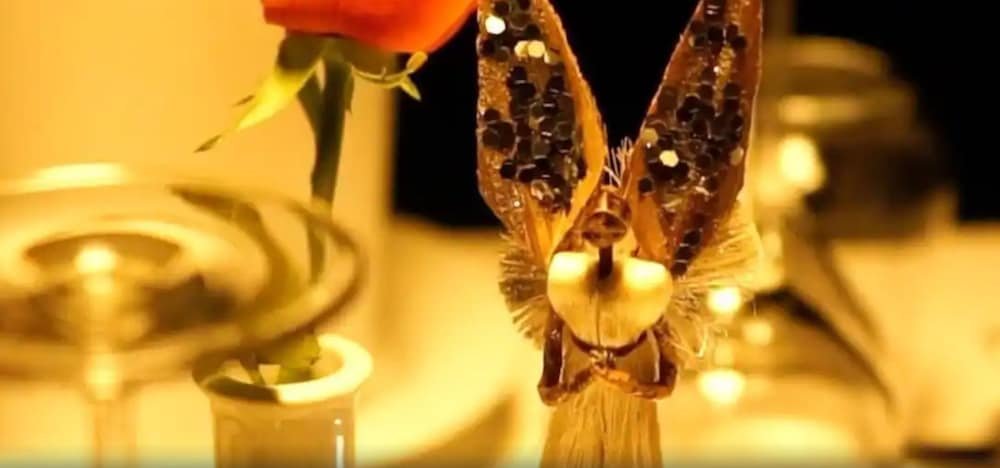 Фото Amata n'Ubuki Boutique Hotel