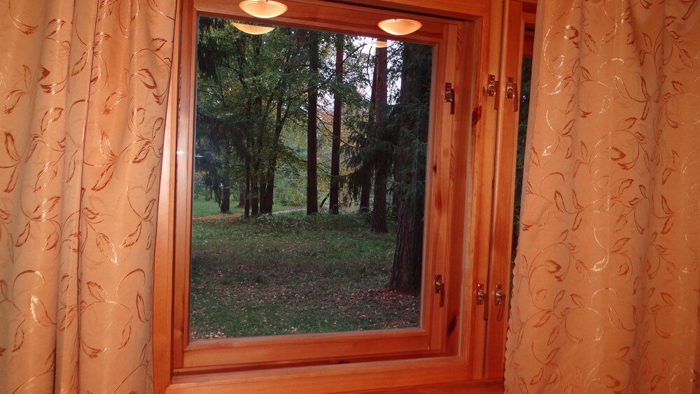 Фото Тихий Лес