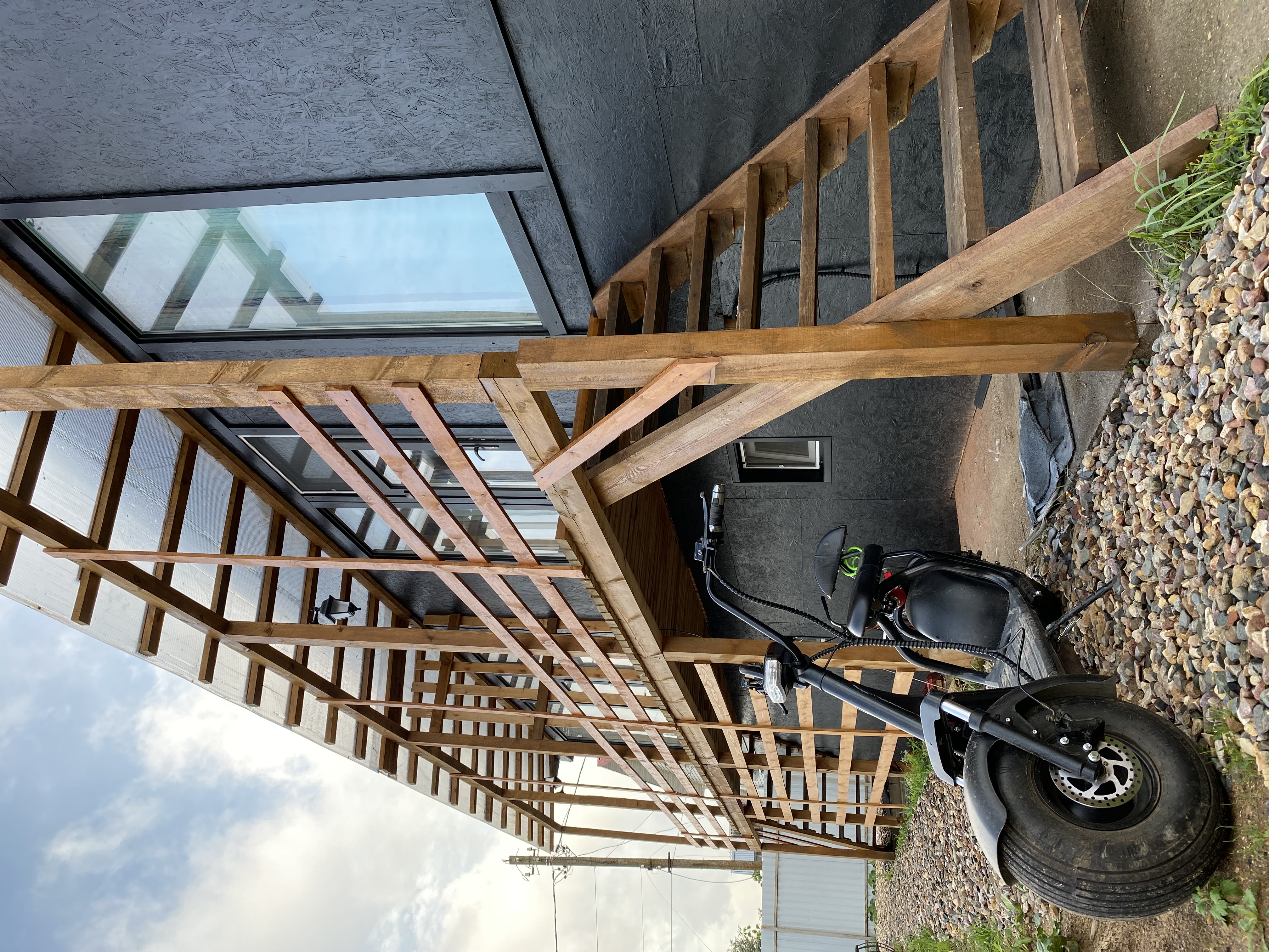 Фото Белый Кролик