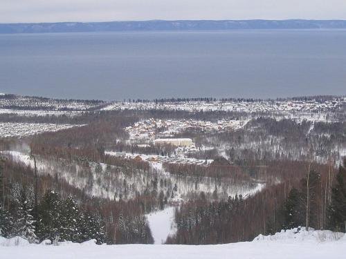 Фото Береза