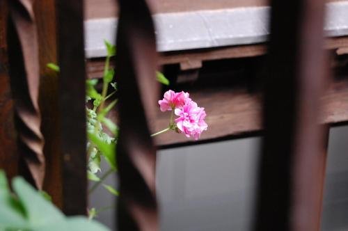 Фото Apartamentos Hospederia de los Reyes