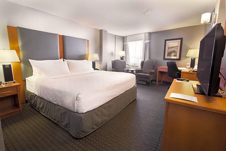 Фото Holiday Inn Calgary-Airport, an Ihg Hotel