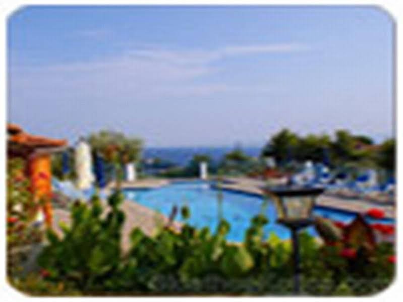 Фото Angelina Studios