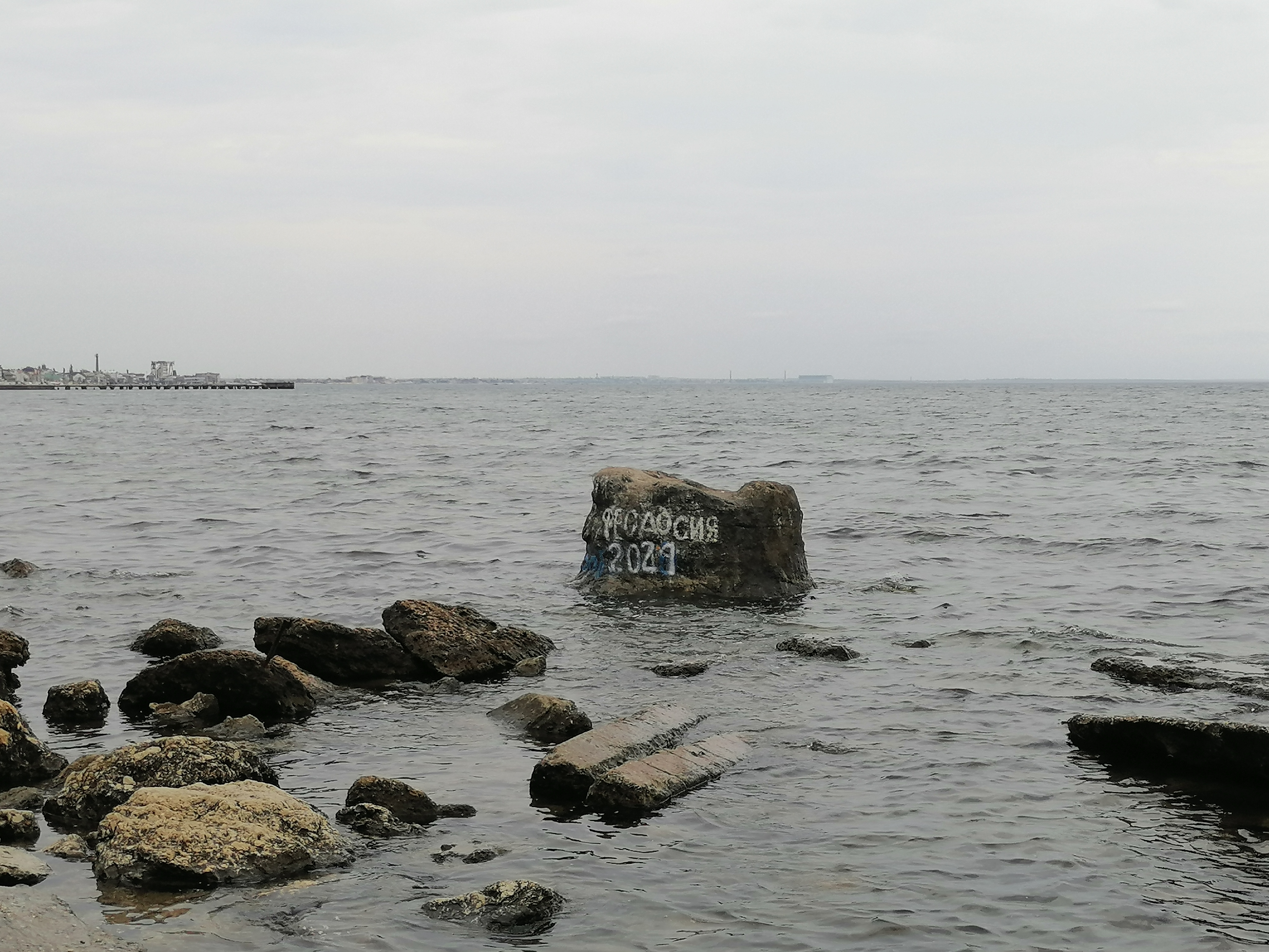 Фото Светлая