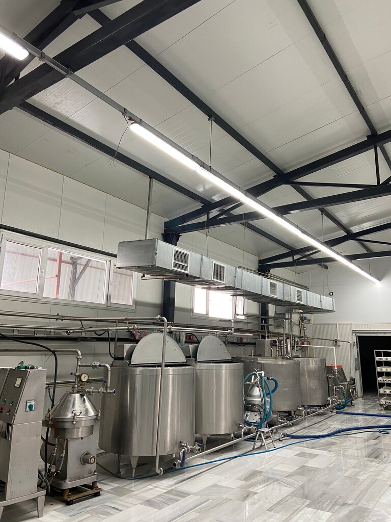 Dairy products wholesale Seçilir Süt ve Süt Ürünleri, Catalca, photo