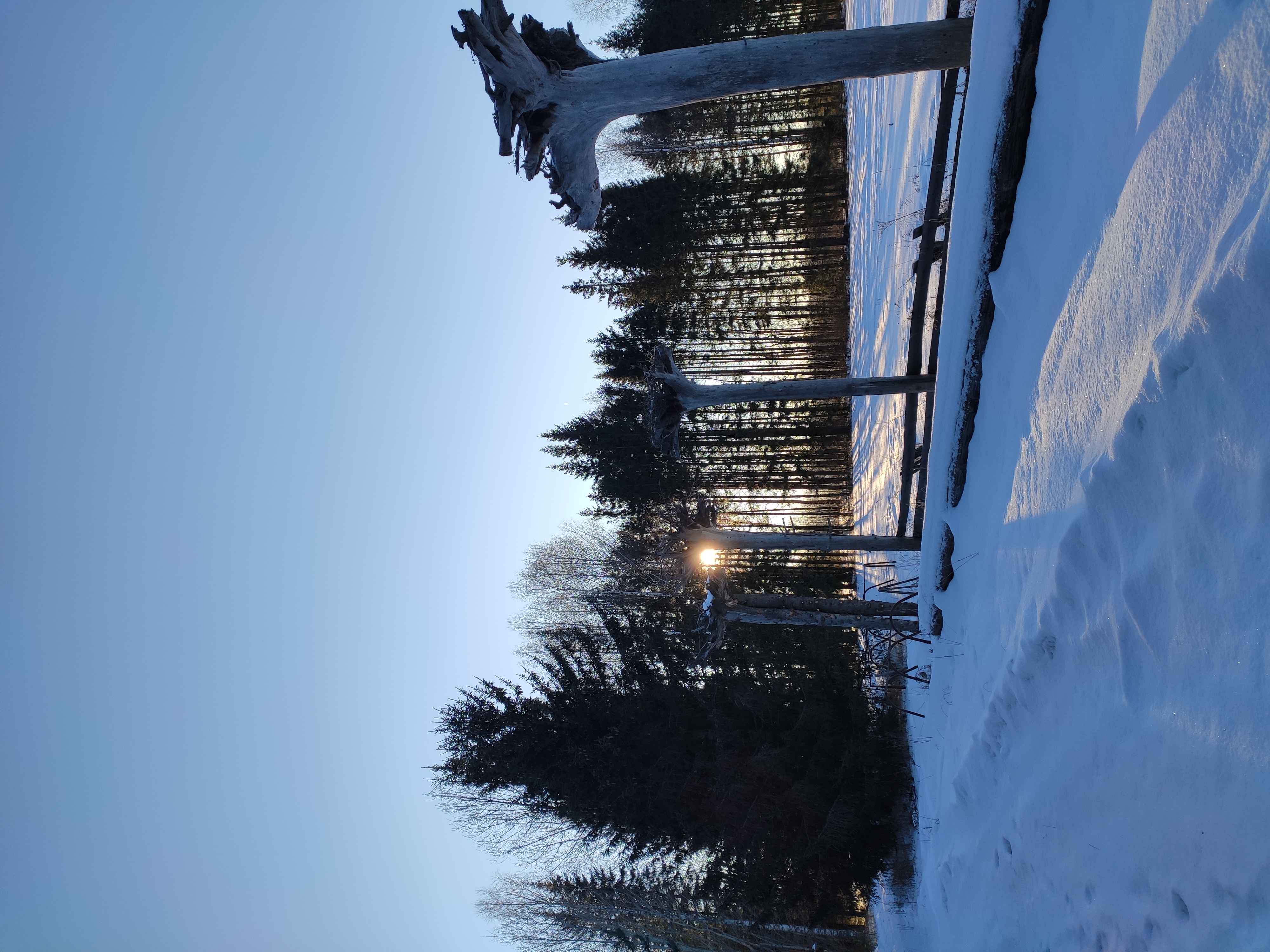 Фото Этнокомплекс Живица