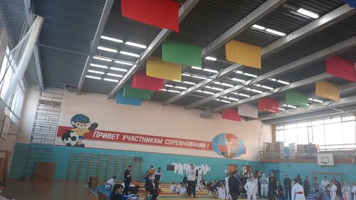 Детско-юношеская спортивная школа № 1, спортивная школа, Пионерская ул ...