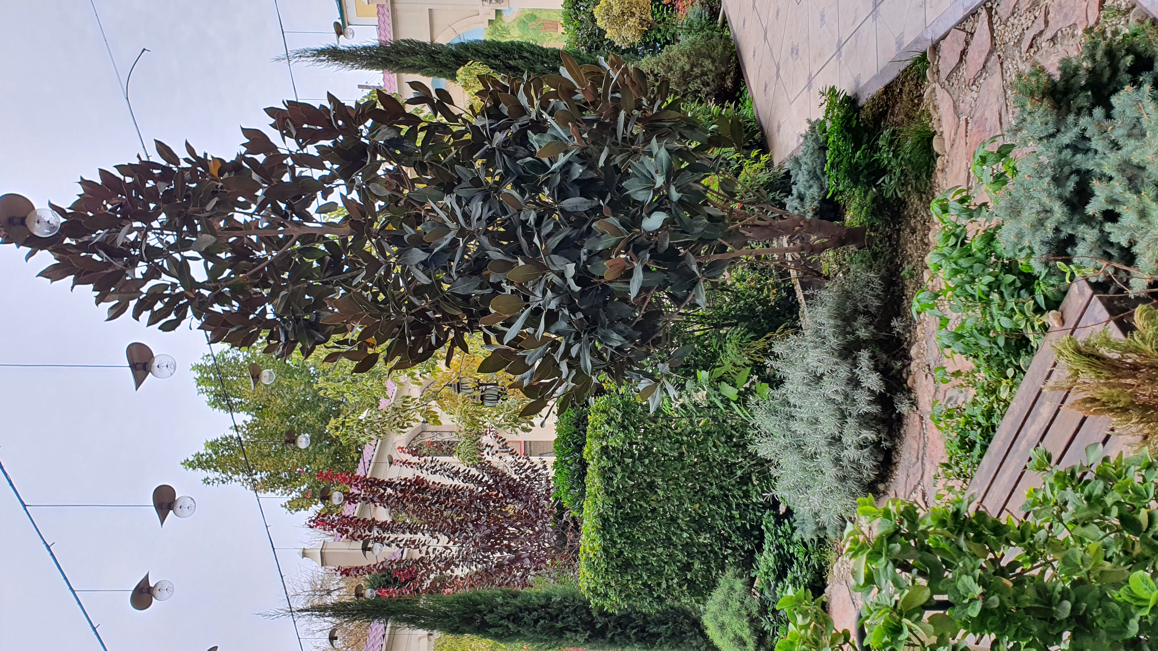 Фото DiliMah Premium Luxury