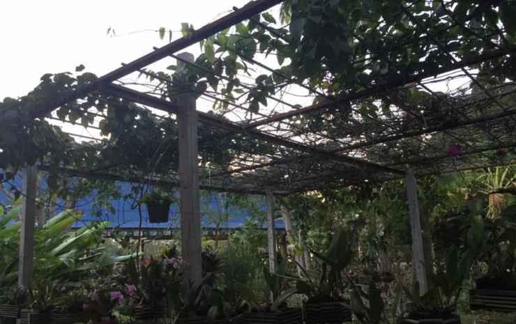 Фото Kruamaeurai Homestay