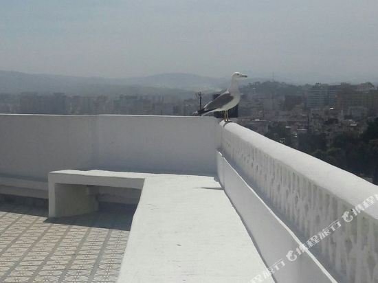 Фото Riad Mokhtar