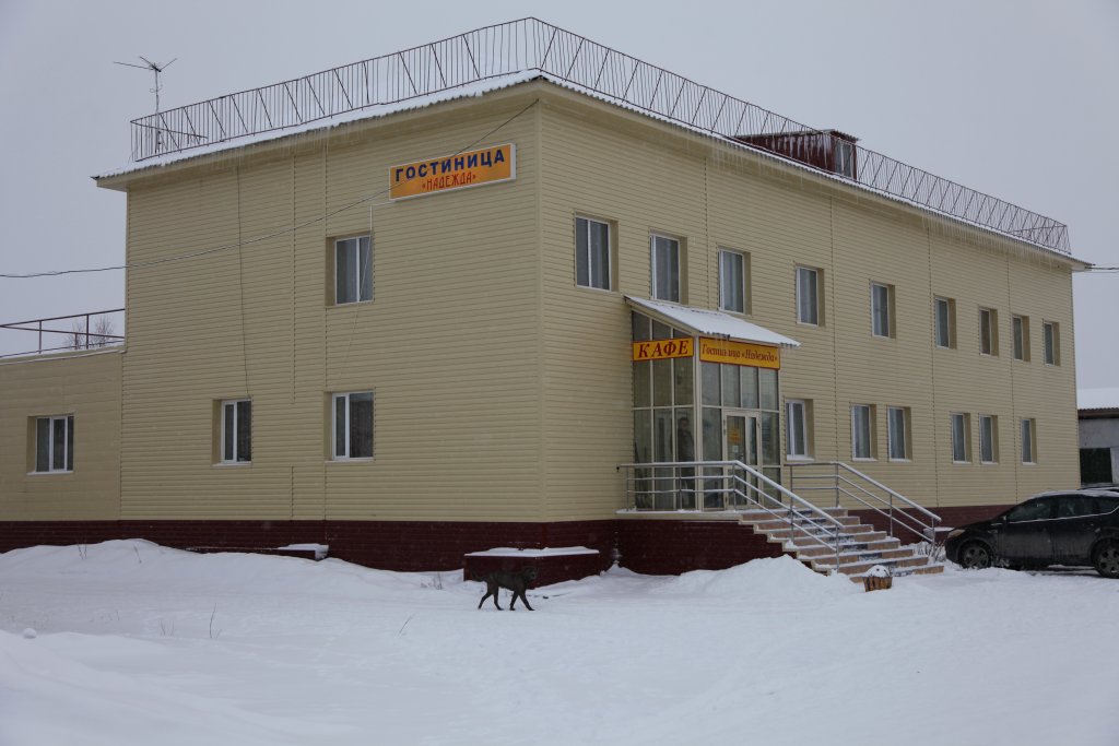 Фото Надежда