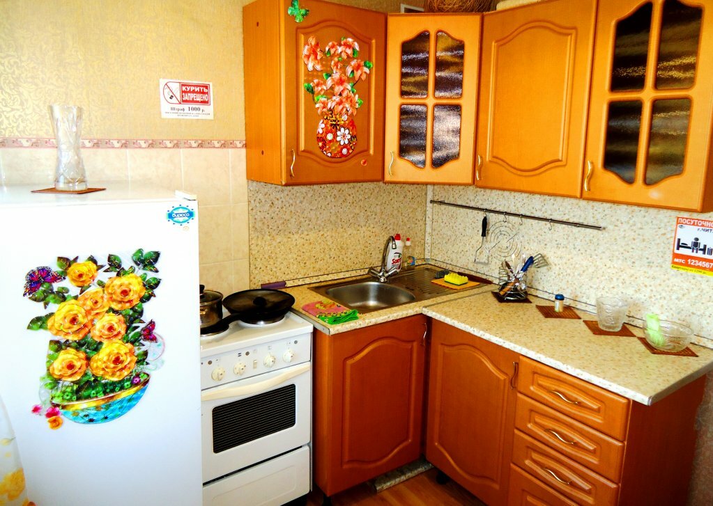 سكن للإيجار اليومي Na Babushkina 147 Apartments ، ، صورة