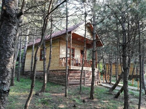 Гостиница Mengen Cam Pinari Doga Evleri & Restaurant в Девреке