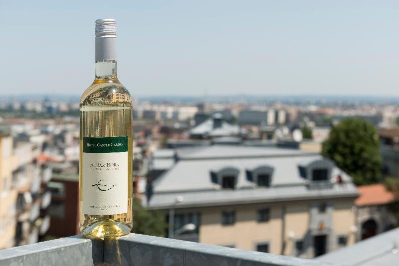 Фото Hotel Castle Garden