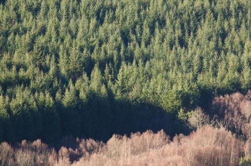 Фото Hotel Rural da Freita