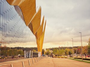 Дворец Ирины Винер
