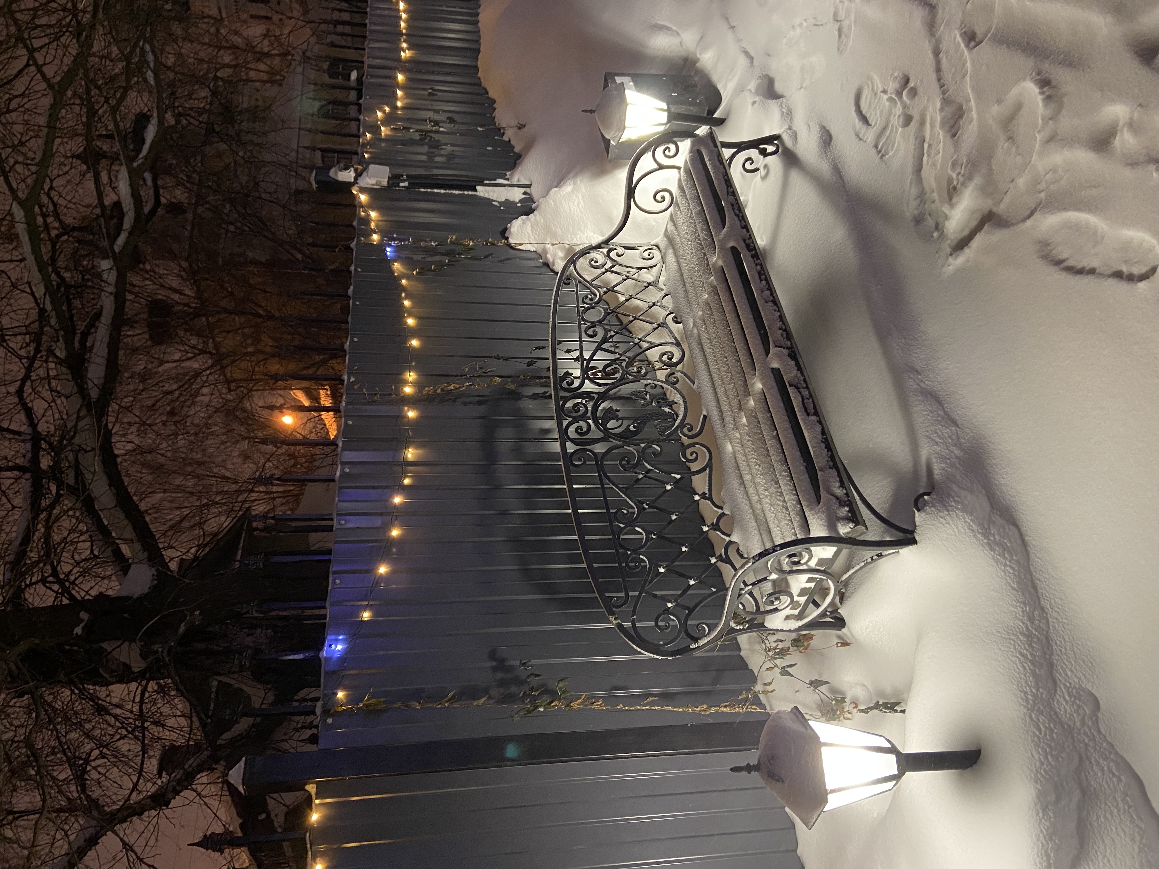 Фото Светлица