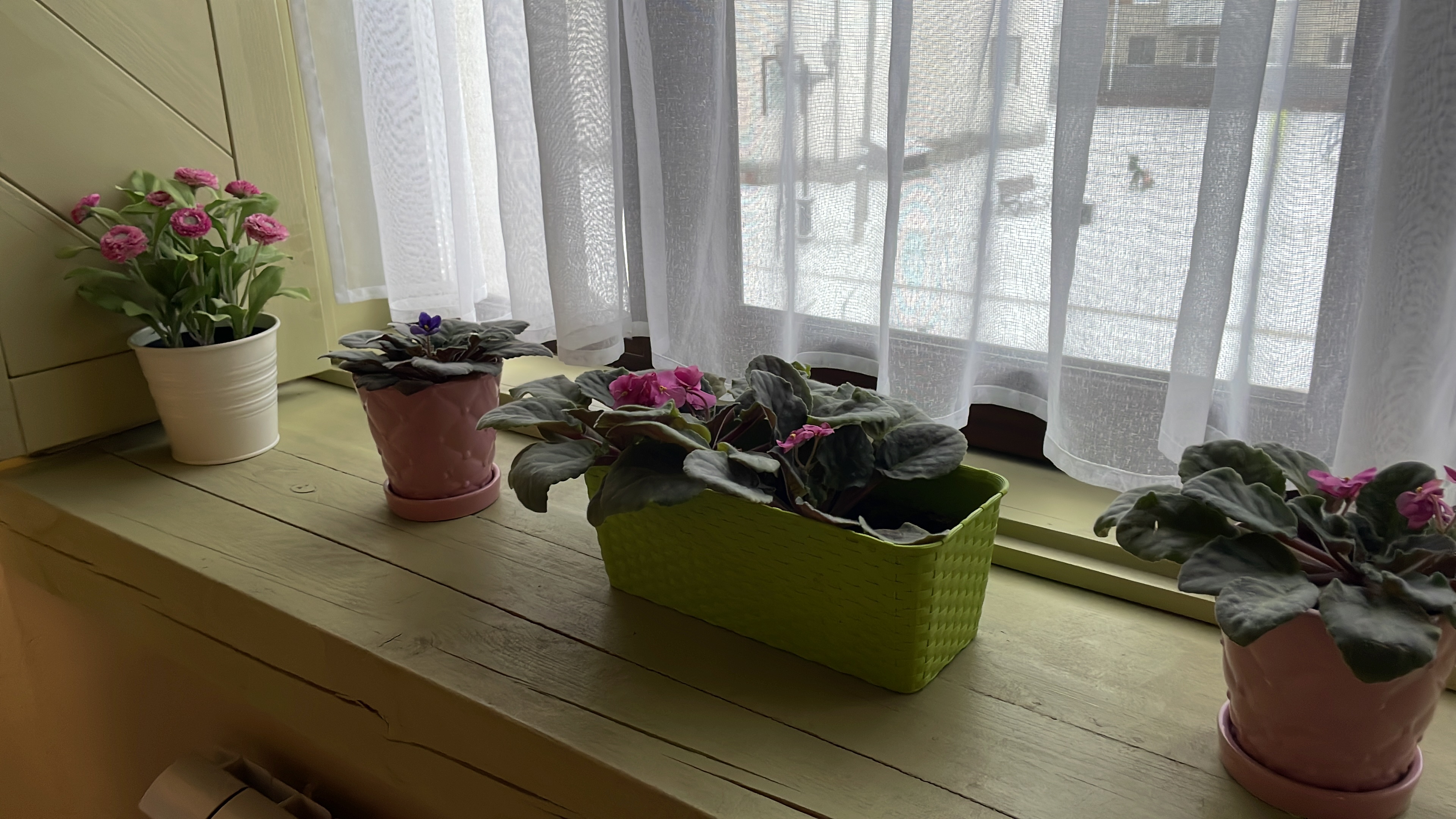 Фото Времена года