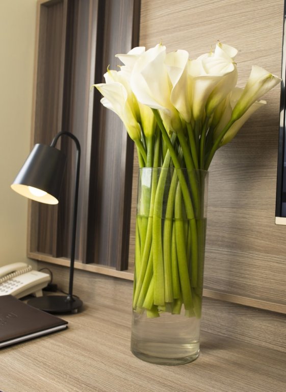 Фото Areca Hotel Nha Trang