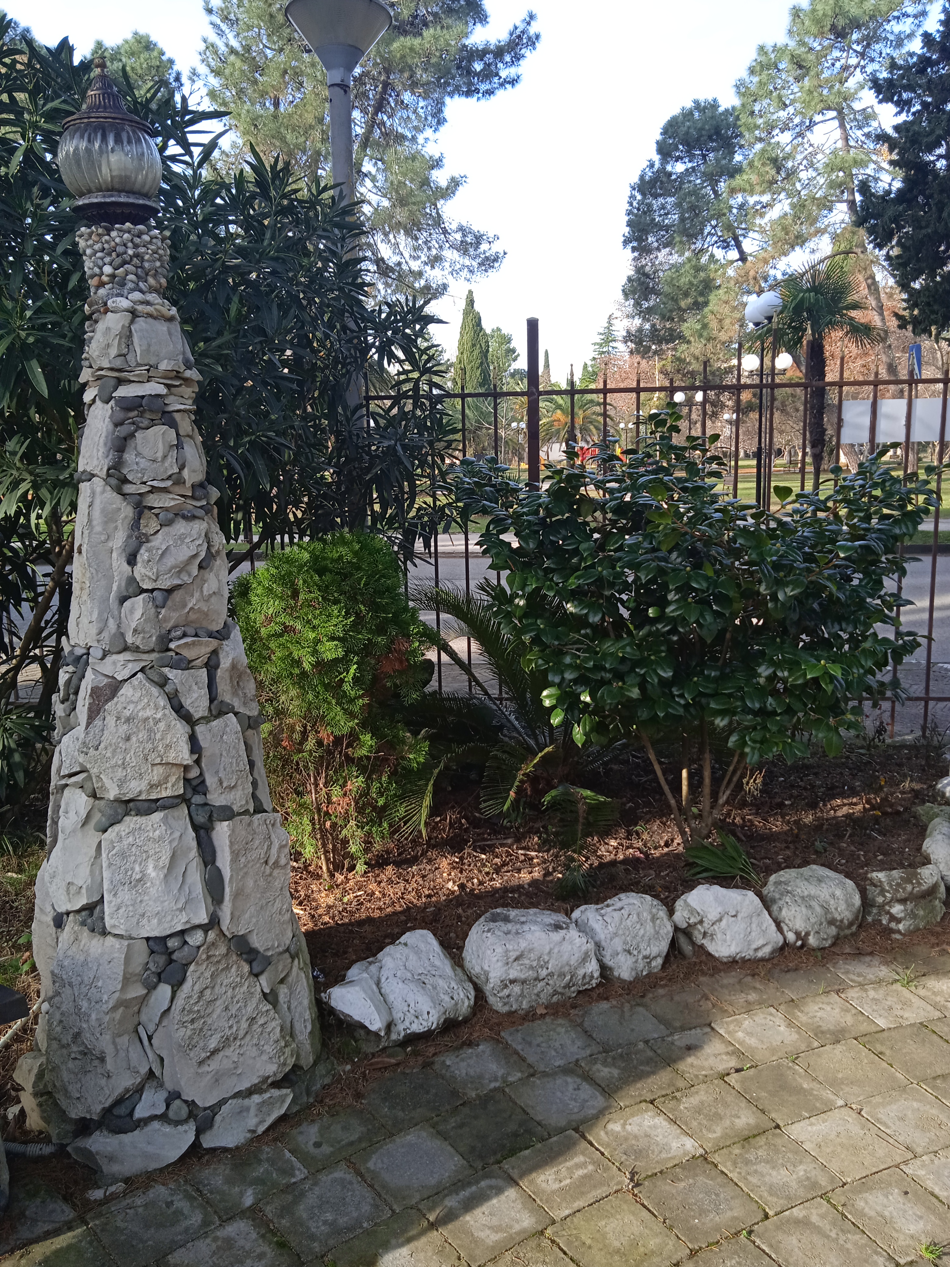 Фото Пицунда