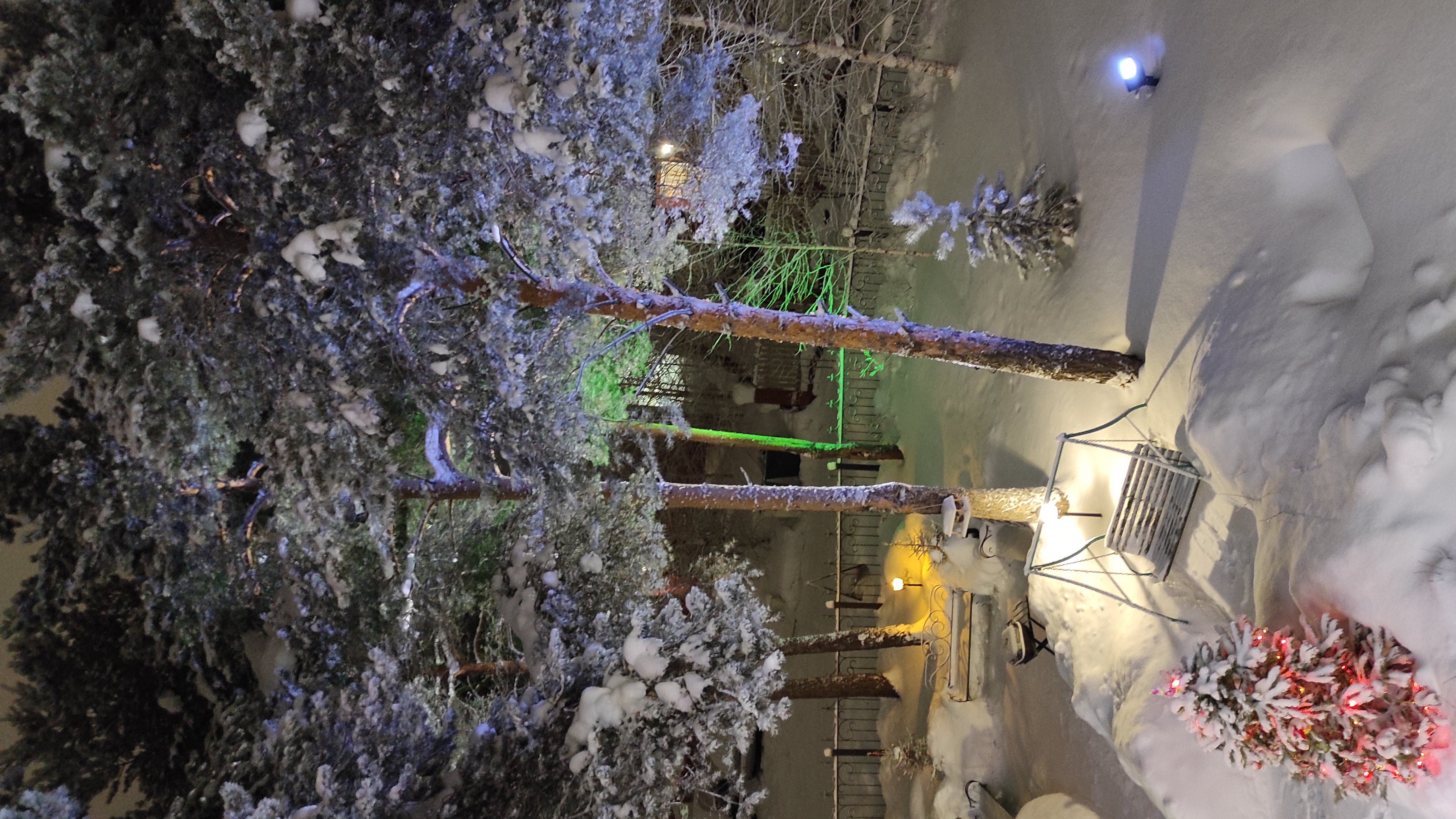 Фото Екатеринин двор