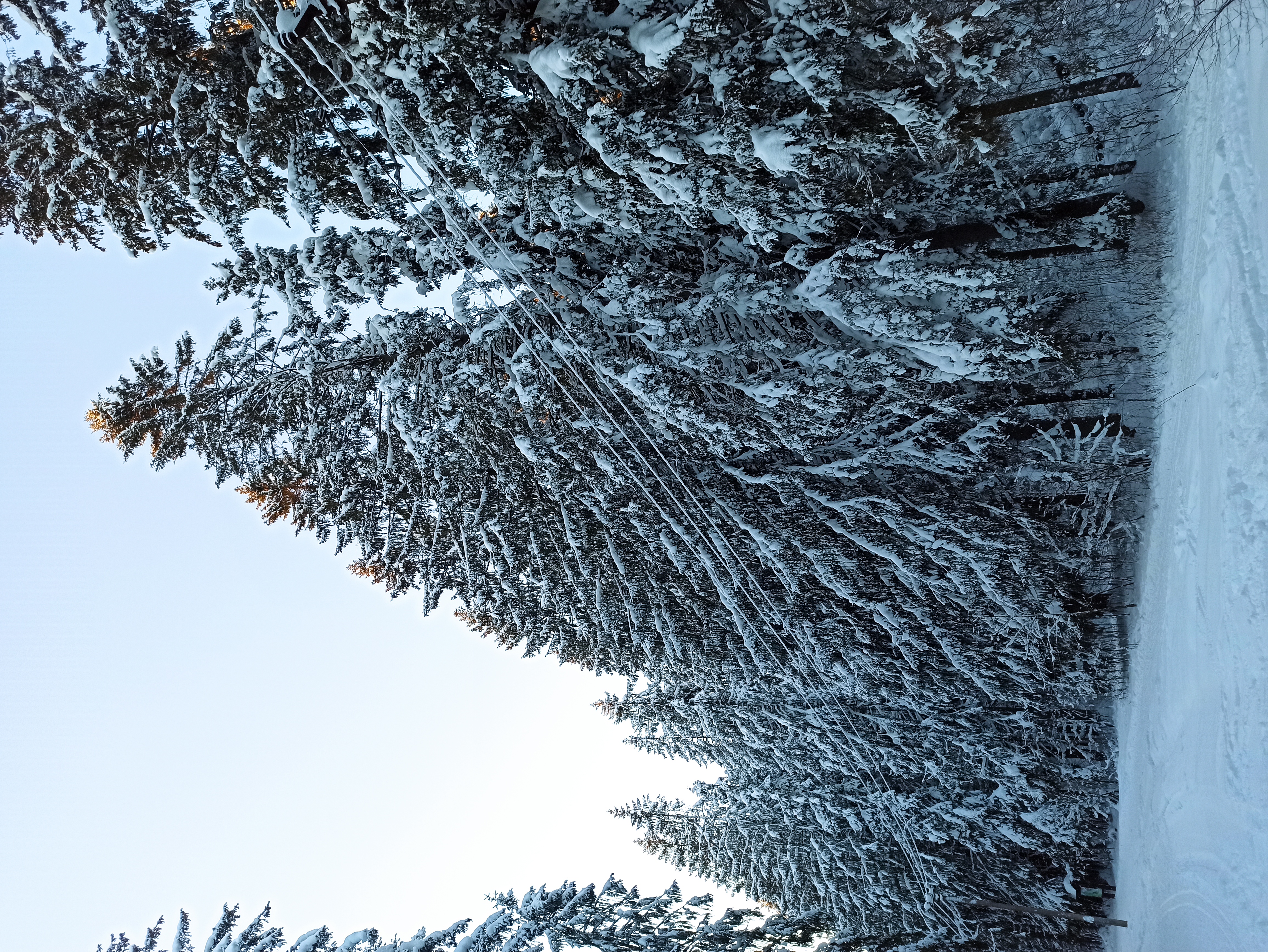 Фото Динамо