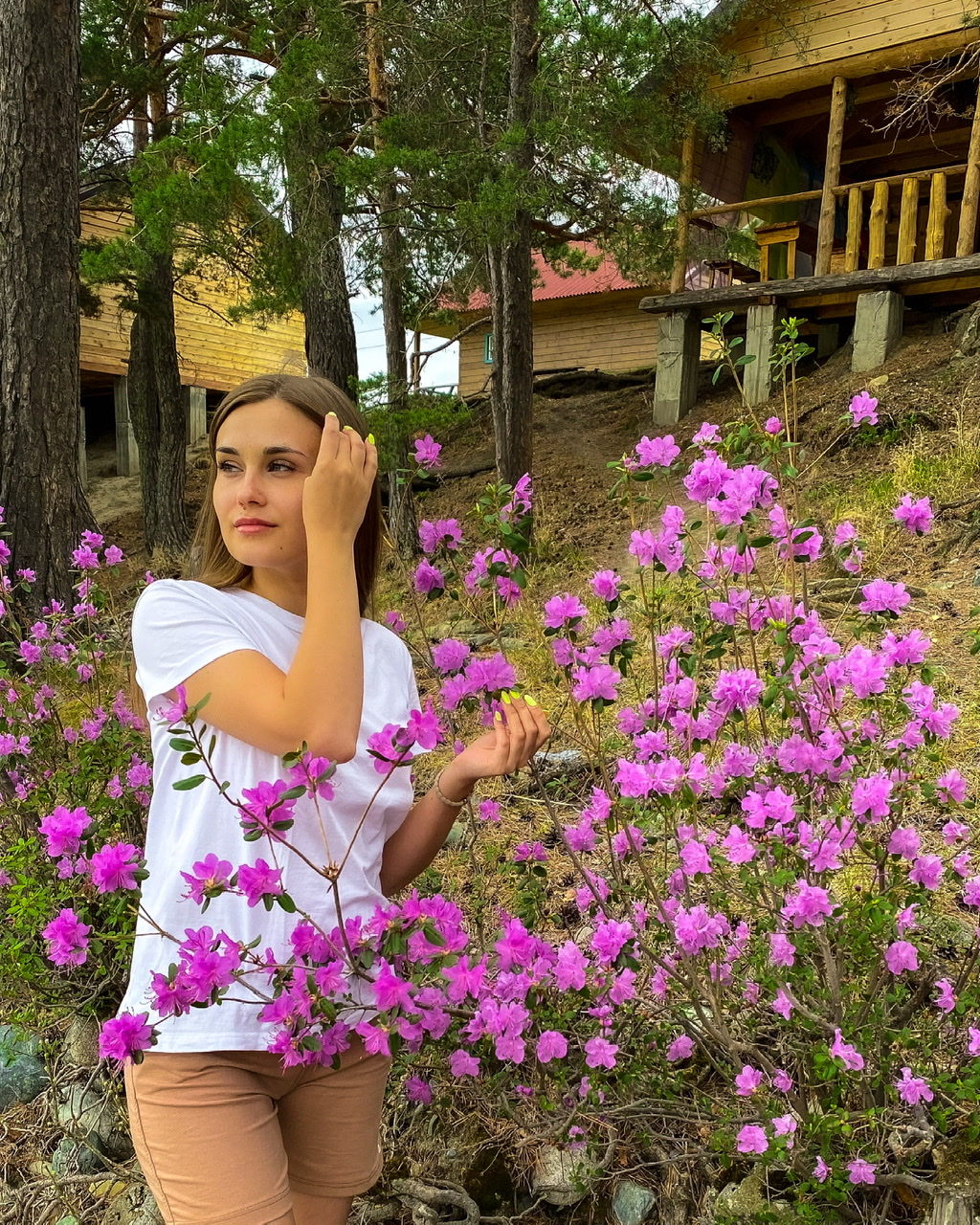 Фото Зеленые холмы