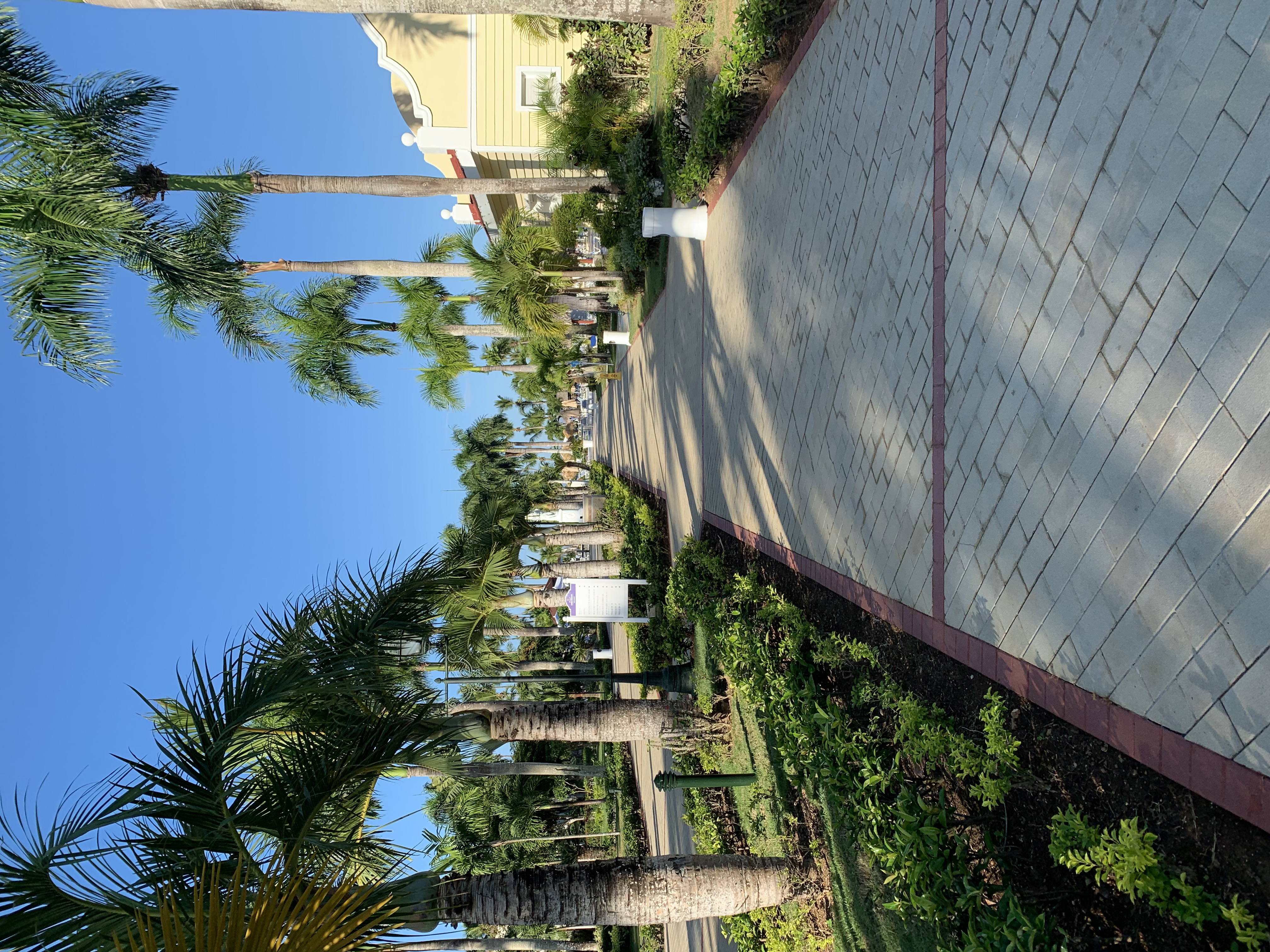 Фото Bahia Principe Grand La Romana - All Inclusive