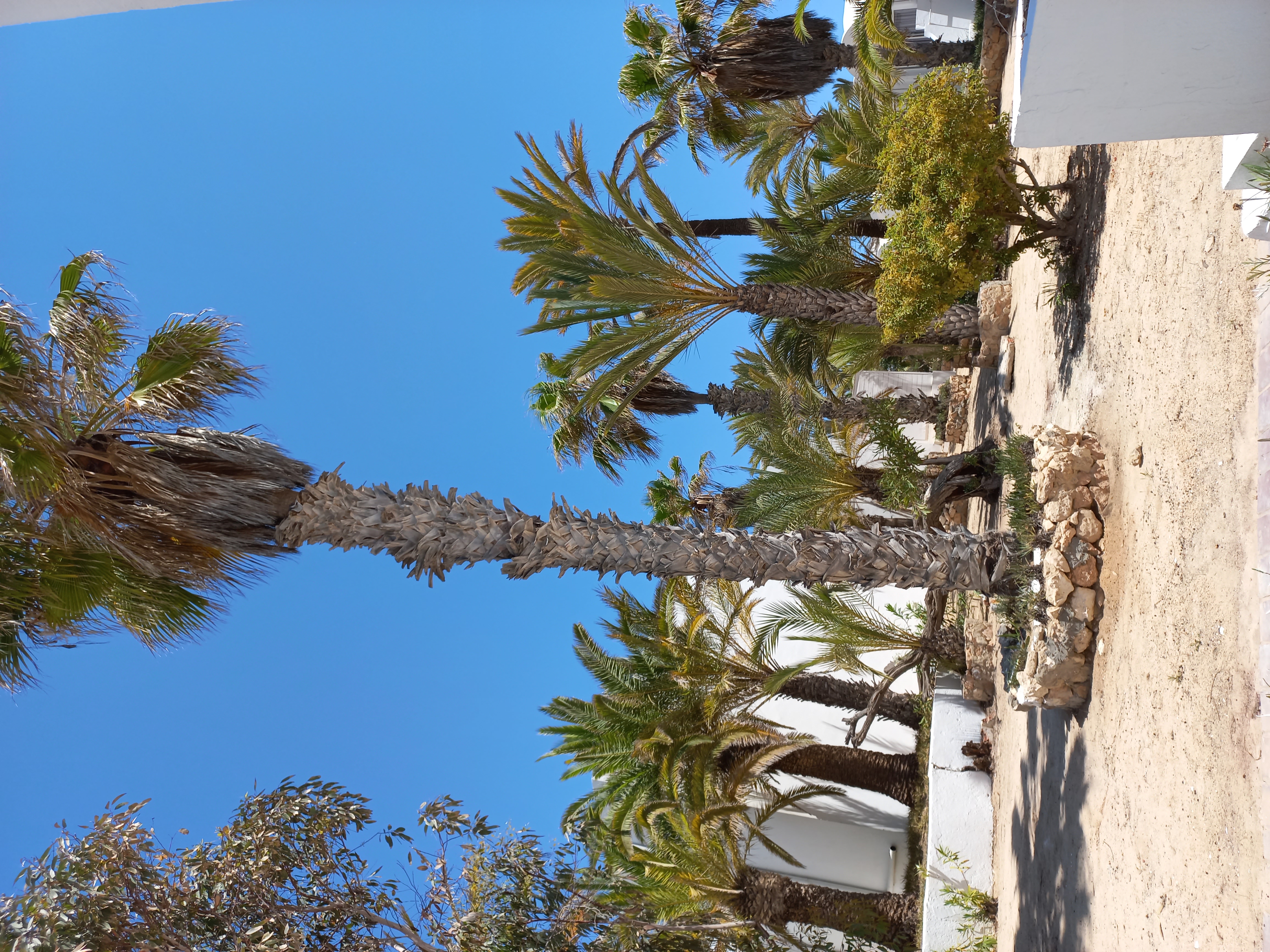 Фото Hotel Meninx Djerba