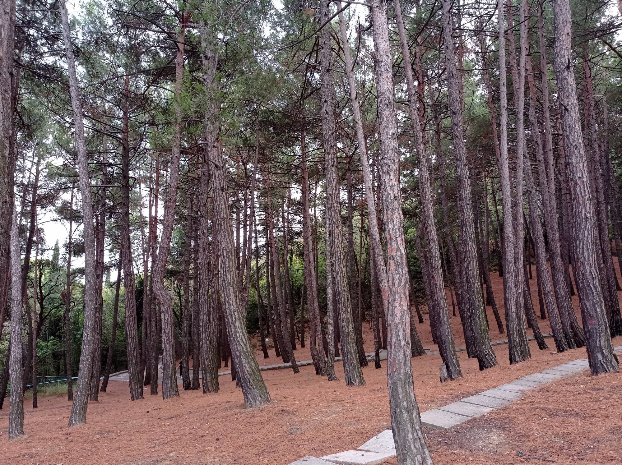 Фото Горный