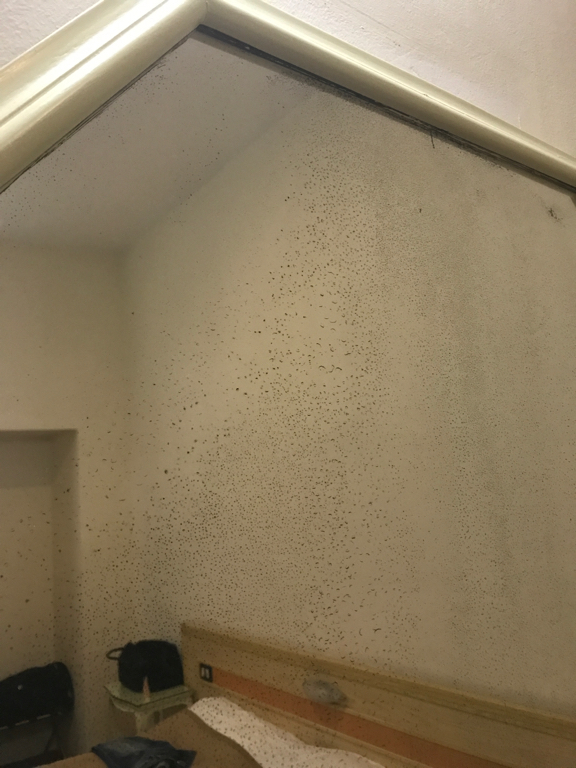 Фото Hotel San Remo