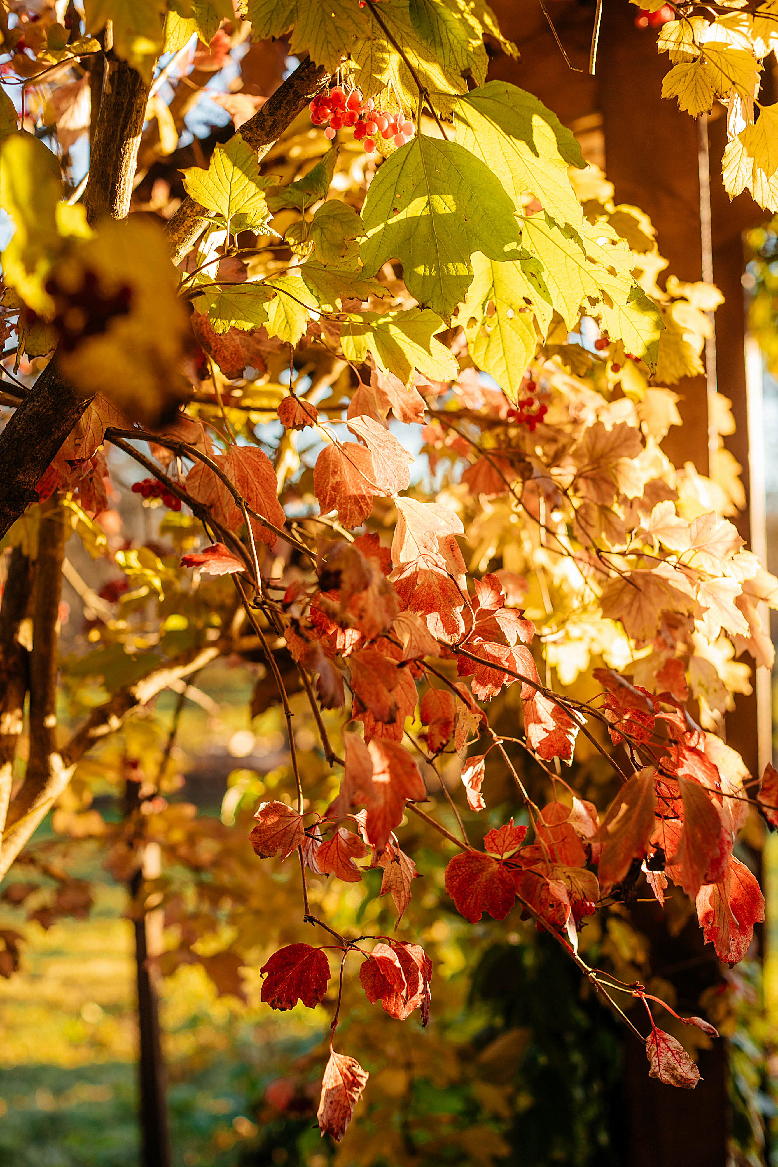 Фото Усадьба Заповедная