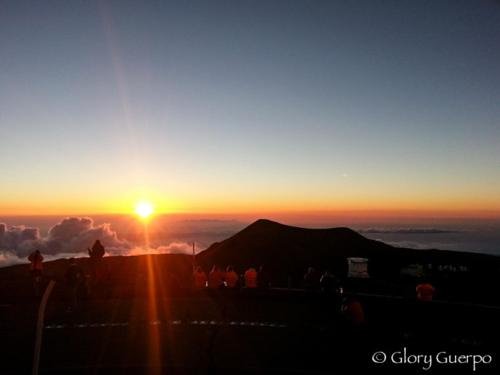 Фото Arnott's Lodge