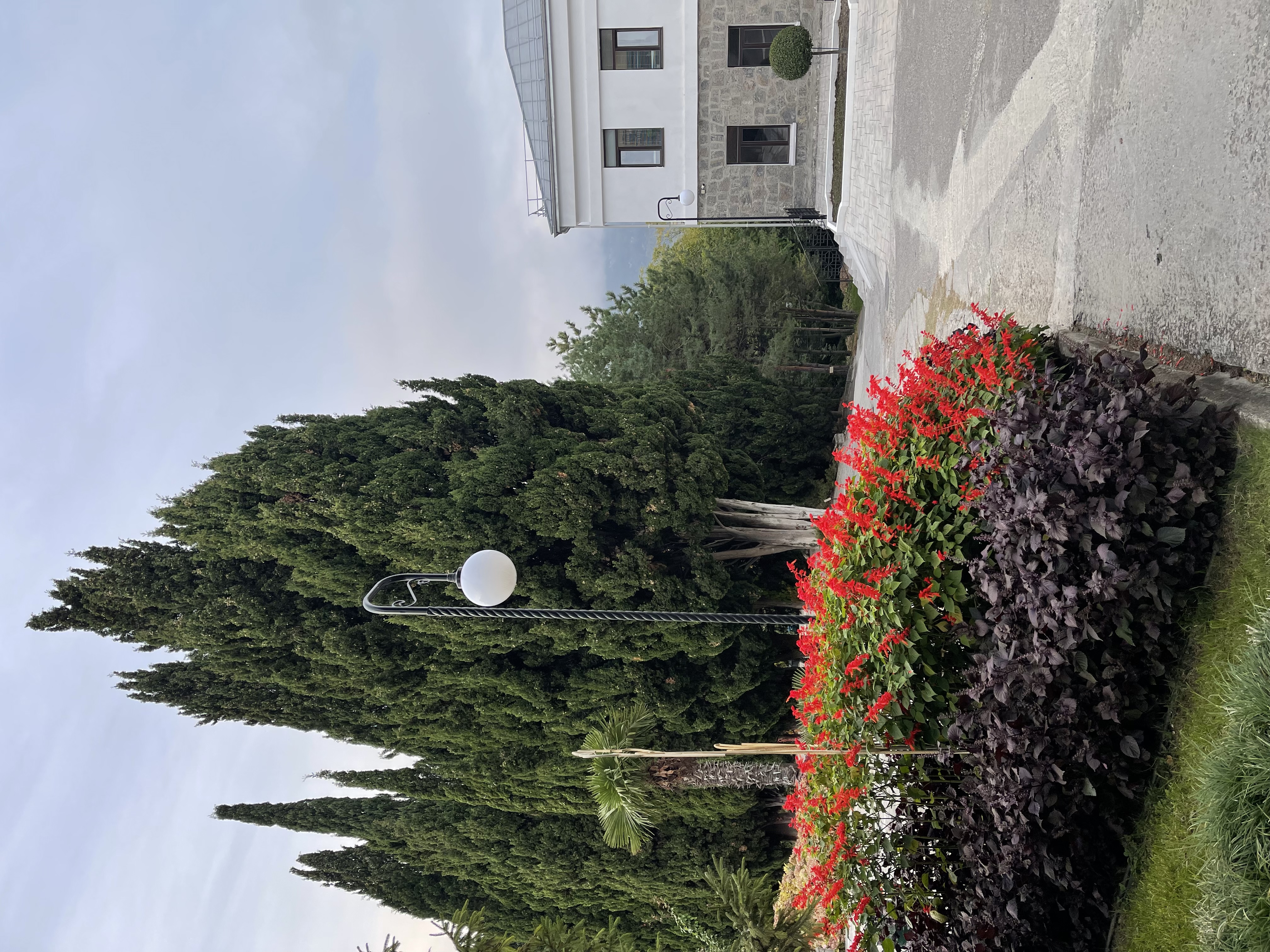 Фото Санаторий Узбекистан