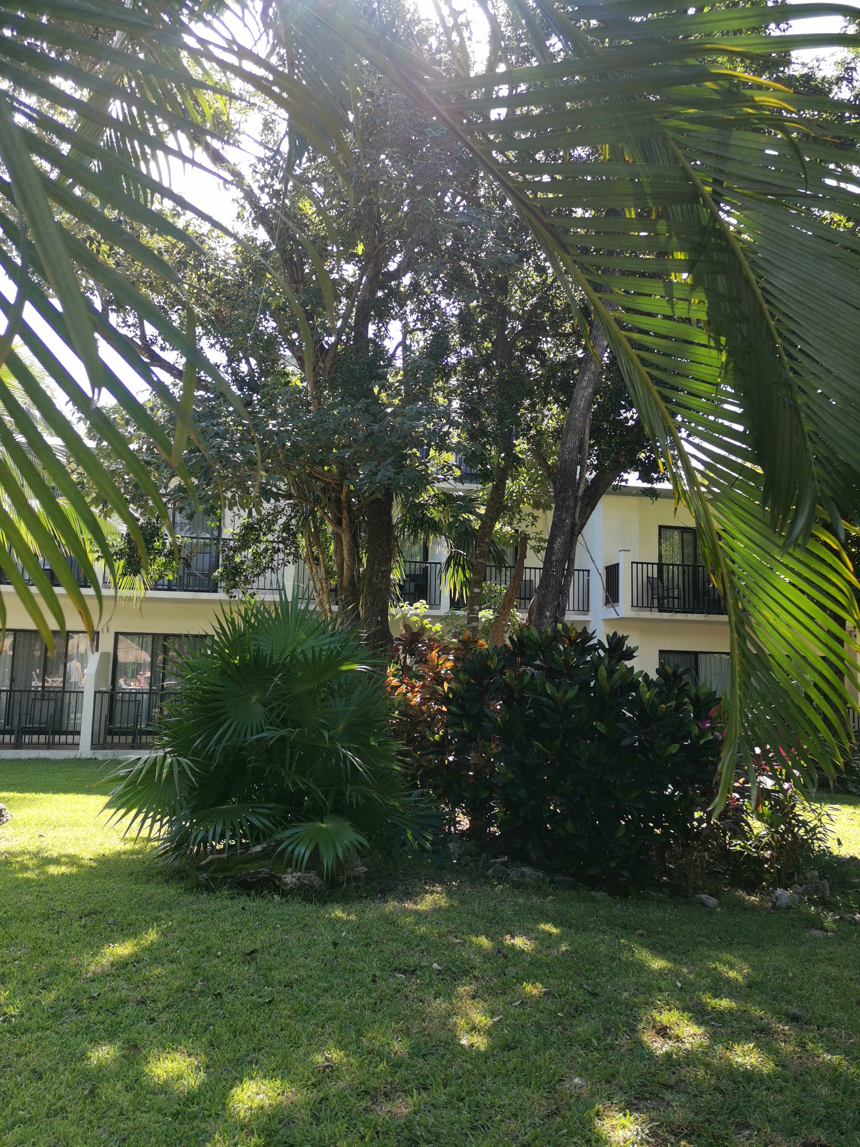 Фото Hotel Riu Lupita 