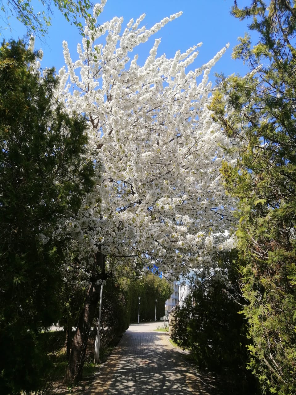 Фото Пансионат Урал