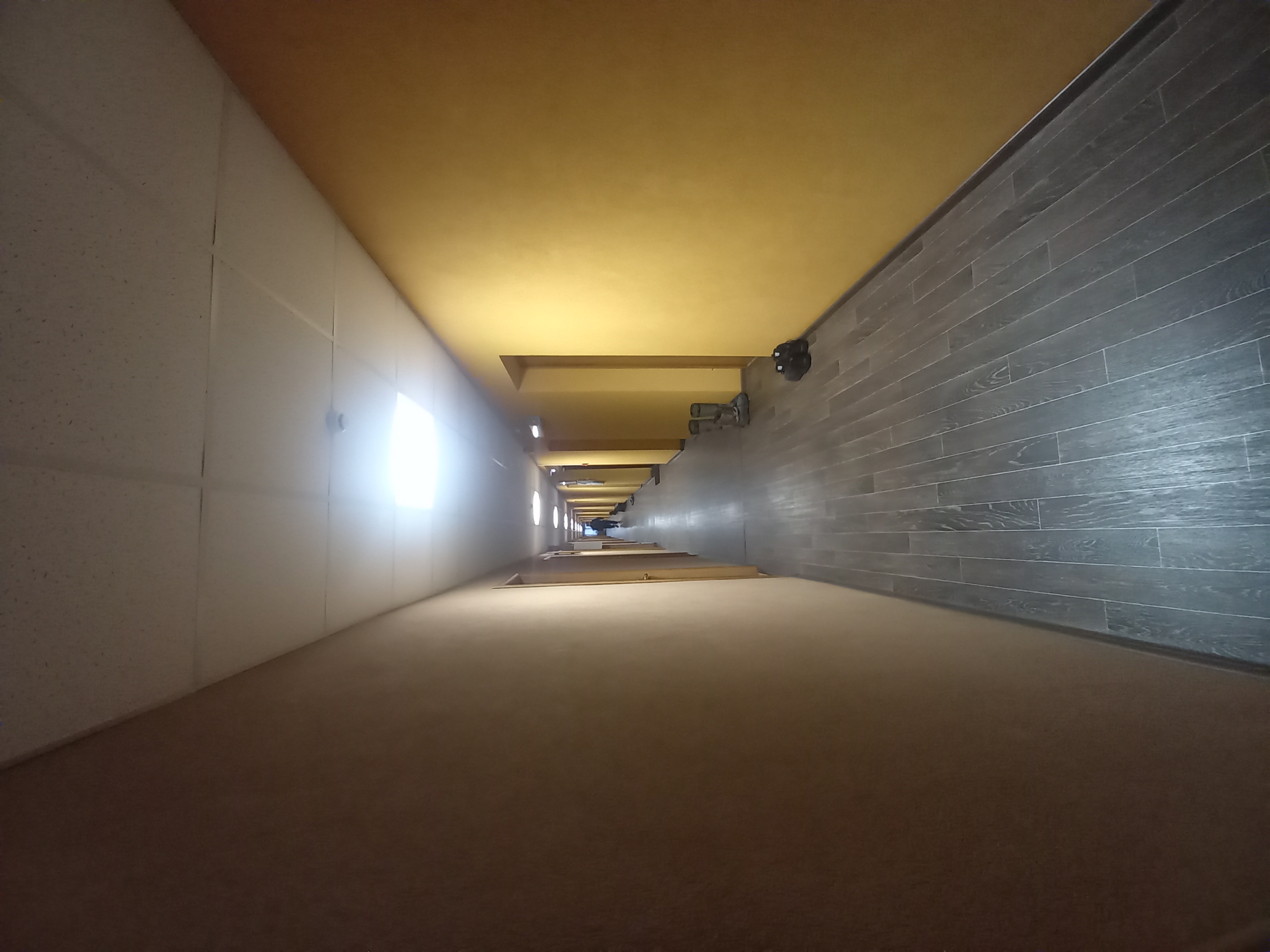 Фото Берёзка