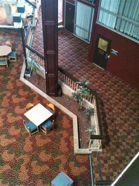 Фото Dfw Airport Hotel