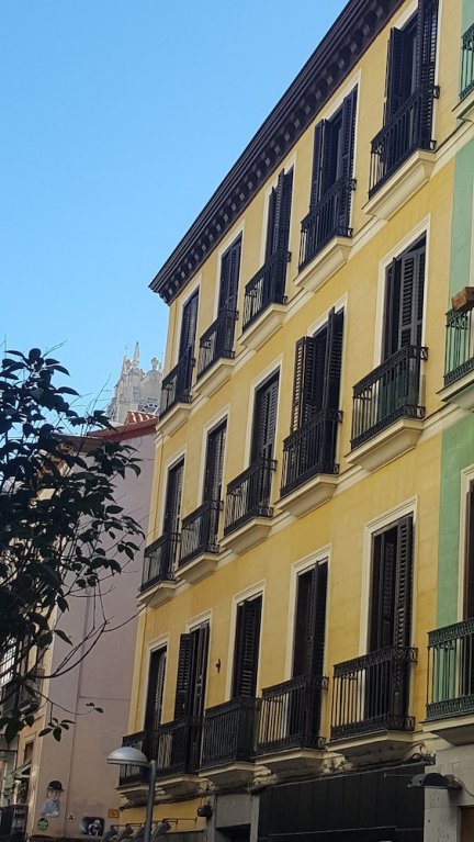 Фото Le Petit Palu Fuencarral