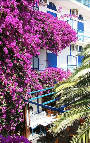 Гостиница Hippocampus Hotel