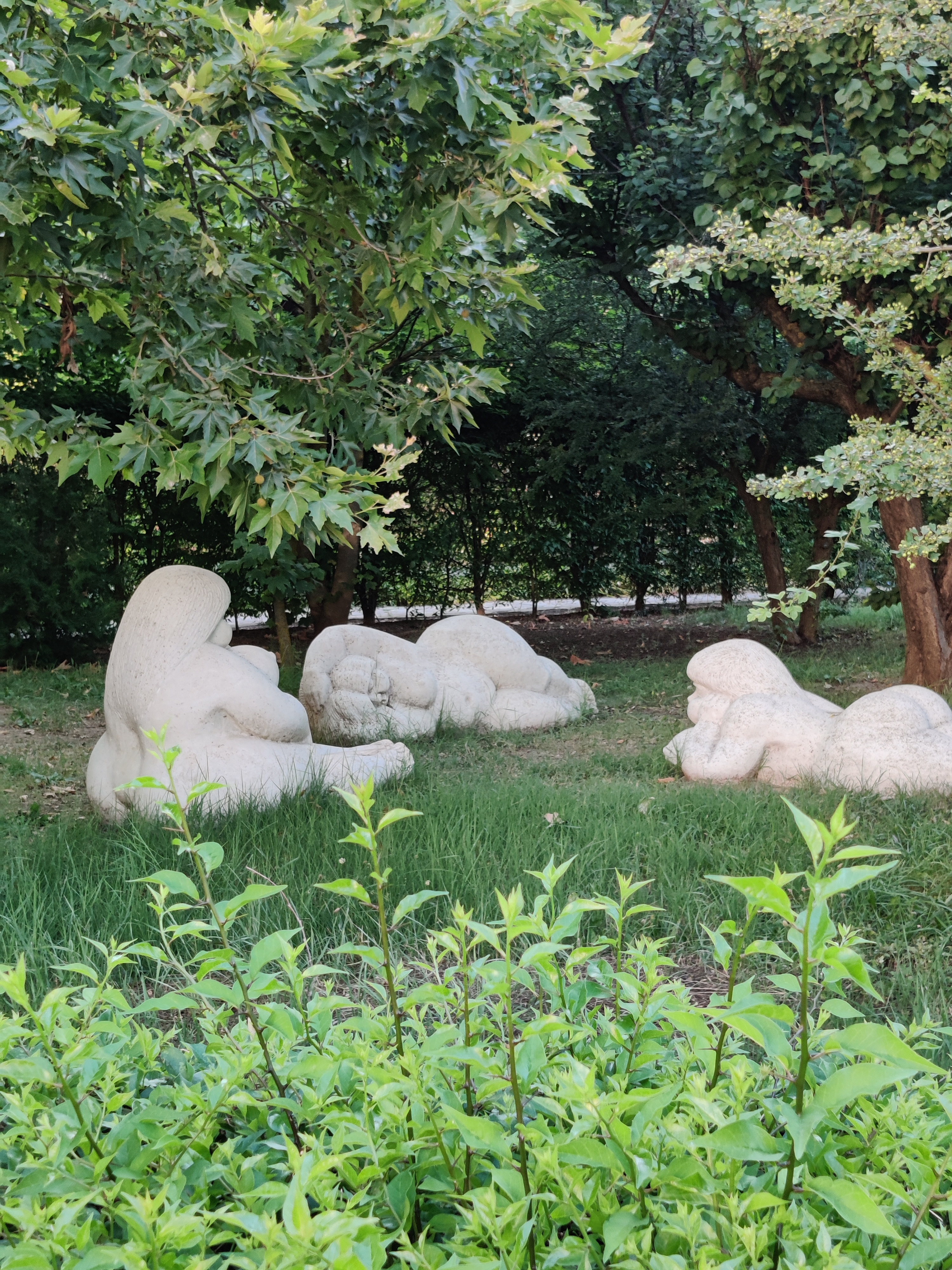 Фото Планета