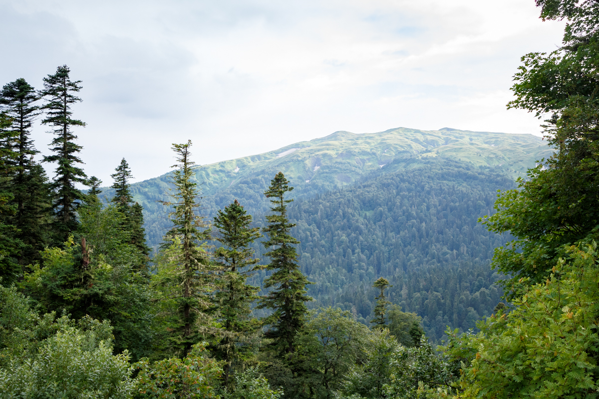 Фото Горный Воздух