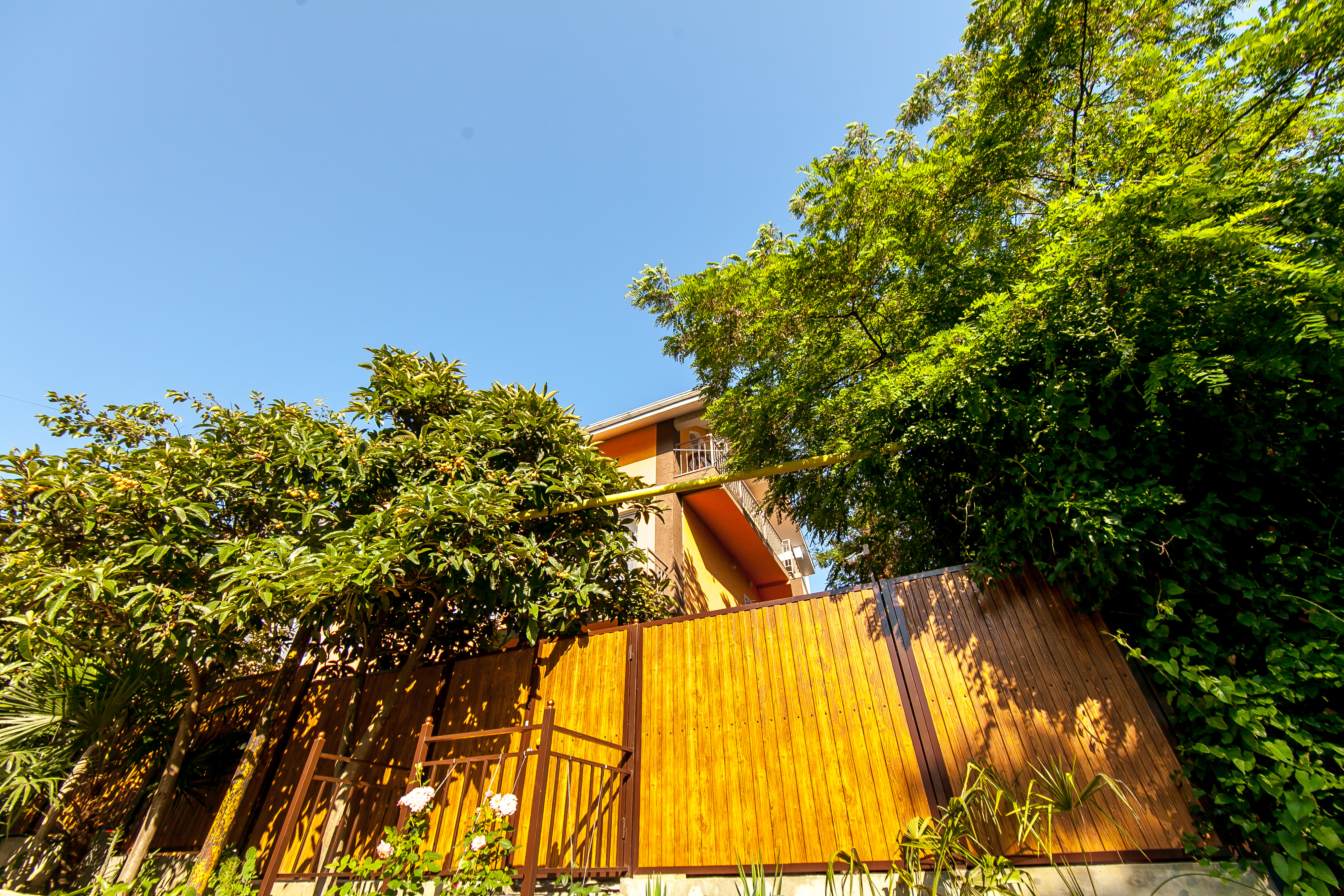 Фото Счастливый Слон